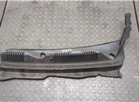 20757612 Жабо под дворники (дождевик) Chevrolet Captiva 2006-2011 21093235 #1