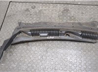 20757612 Жабо под дворники (дождевик) Chevrolet Captiva 2006-2011 21093235 #2
