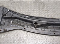 668638H900 Жабо под дворники (дождевик) Nissan X-Trail (T30) 2001-2007 21093279 #3