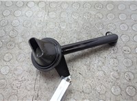 Маслоприёмник Ford Focus 2 2008-2011 21095013 #3