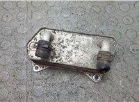  Теплообменник Volkswagen Passat CC 2012-2017 21096030 #1