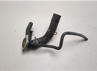  Патрубок охлаждения Subaru Tribeca (B9) 2004-2014 21108431 #1