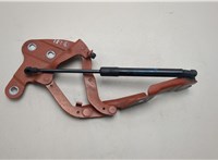 41002993150, 2993150 Петля капота BMW X1 (E84) 2009-2015 21108877 #1