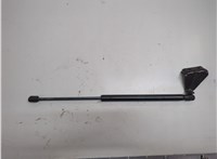 8L847842104AD Амортизатор стекла багажника Ford Escape 2007-2012 21109867 #1