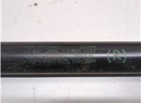 8L8478406A10AD Амортизатор крышки багажника Ford Escape 2007-2012 21109873 #2