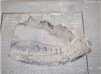  Защита арок (подкрылок) Fiat Ducato 2006-2014 21110236 #1