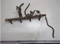 166007S000 Форсунка топливная Infiniti QX56 2004-2010 21111023 #1