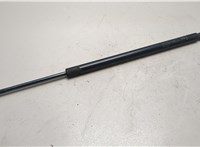 25880917 Амортизатор крышки багажника Chevrolet Tahoe 2006-2014 21114015 #1
