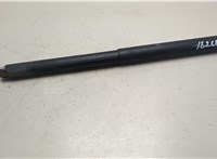 42483641 Амортизатор крышки багажника Buick Encore GX 2019-2024 21114126 #1