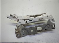 41007204556, 7204556 Петля капота BMW 7 F01 2008-2015 21115349 #1