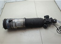 37126796929 Амортизатор подвески BMW 7 F01 2008-2015 21116137 #5