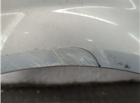  Повторитель поворотов Renault Megane 2 2002-2009 11779943 #2
