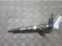 166008052R, 166004305R, 8200704191 Форсунка топливная Renault Megane 3 2009-2016 21118832 #1