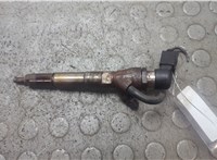 166008052R, 166004305R, 8200704191 Форсунка топливная Renault Megane 3 2009-2016 21118833 #1