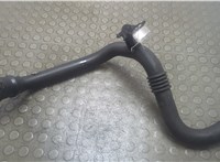 8200981498 Патрубок интеркулера Renault Scenic 2009-2012 21121157 #1