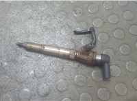166008052R, 166004305R, 8200704191 Форсунка топливная Renault Scenic 2009-2012 21121158 #1