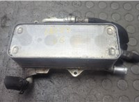  Теплообменник Audi A6 (C7) 2011-2018 21125176 #1