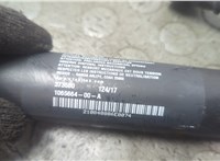  Амортизатор крышки багажника Tesla Model X 2015-2021 21125787 #2