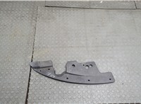 625801AA0A Пластик (обшивка) моторного отсека Nissan Murano 2008-2015 21126619 #1