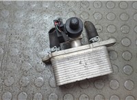 103735700D Теплообменник Tesla Model X 2015-2021 21129638 #1