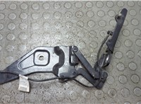 41007198618, 7198618 Петля капота BMW X6 E71 2007-2014 21129671 #1