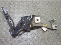 41007198618, 7198618 Петля капота BMW X6 E71 2007-2014 21129671 #3