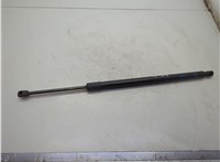 42841446 Амортизатор крышки багажника Chevrolet Bolt EUV 2021-2023 21129795 #1
