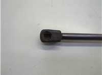 42841446 Амортизатор крышки багажника Chevrolet Bolt EUV 2021-2023 21129795 #2