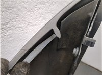  Повторитель поворотов Renault Megane 2 2002-2009 11786003 #8