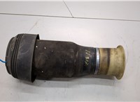 37126790082, 6790082 Пневмоподушка BMW X6 E71 2007-2014 21138616 #1