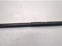 51247294199, 7294199 Амортизатор крышки багажника BMW X5 E70 2006-2013 21140401 #1