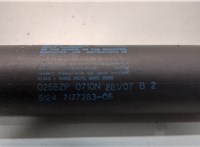 51247294199, 7294199 Амортизатор крышки багажника BMW X5 E70 2006-2013 21140404 #2