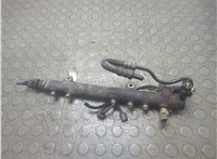  Рампа (рейка) топливная Opel Corsa C 2000-2006 21142460 #1