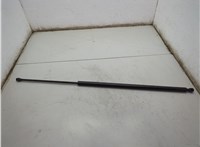 904520975R Амортизатор крышки багажника Renault Trafic 2001-2014 21140434 #1