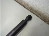 904520975R Амортизатор крышки багажника Renault Trafic 2001-2014 21140434 #2