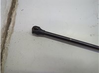 904520975R Амортизатор крышки багажника Renault Trafic 2001-2014 21140434 #3