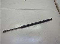  Амортизатор крышки багажника Chevrolet Bolt EUV 2021-2023 21142774 #1