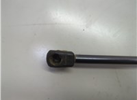  Амортизатор крышки багажника Chevrolet Bolt EUV 2021-2023 21142774 #3