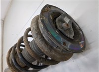  Амортизатор подвески Peugeot 406 1999-2004 21144849 #2