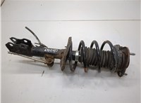  Амортизатор подвески Toyota Corolla E16 2015-2019 21144936 #1