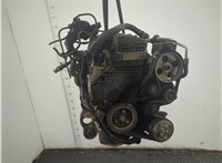 0135EF Двигатель (ДВС) Peugeot 206 1998-2012 21147717 #1