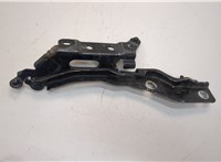  Петля капота Ford F-150 2014-2020 21150984 #2