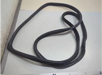  Уплотнитель Nissan Murano 2008-2015 21152454 #1