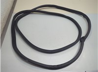  Уплотнитель Nissan Murano 2008-2015 21152464 #1