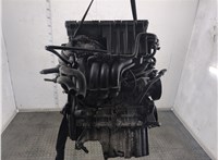  Двигатель (ДВС) Volkswagen Polo 2005-2009 21152723 #1