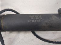 51247201939, 7201939 Амортизатор крышки багажника BMW X6 E71 2007-2014 21152847 #4