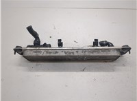 17217553389, 7553389, L5150003 Теплообменник BMW X6 E71 2007-2014 21152871 #5