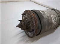  Амортизатор подвески Land Rover Range Rover Sport 2005-2013 21157860 #2