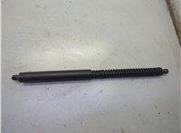  Амортизатор крышки багажника BMW 7 E65 2001-2008 21158121 #2
