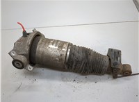 7L8616019C Амортизатор подвески Audi Q7 2005-2015 21158322 #1